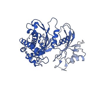 21458_6vyf_A_v1-0
Cryo-EM structure of Plasmodium vivax hexokinase (Open state)