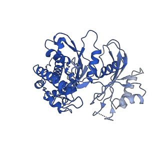 21458_6vyf_A_v1-1
Cryo-EM structure of Plasmodium vivax hexokinase (Open state)