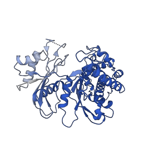 21458_6vyf_B_v1-0
Cryo-EM structure of Plasmodium vivax hexokinase (Open state)
