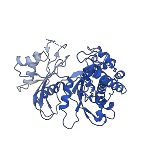 21458_6vyf_B_v1-1
Cryo-EM structure of Plasmodium vivax hexokinase (Open state)