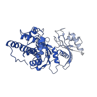 21458_6vyf_C_v1-1
Cryo-EM structure of Plasmodium vivax hexokinase (Open state)