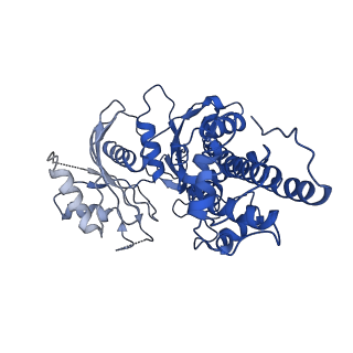 21458_6vyf_D_v1-0
Cryo-EM structure of Plasmodium vivax hexokinase (Open state)