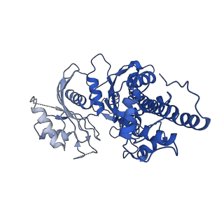 21458_6vyf_D_v1-1
Cryo-EM structure of Plasmodium vivax hexokinase (Open state)