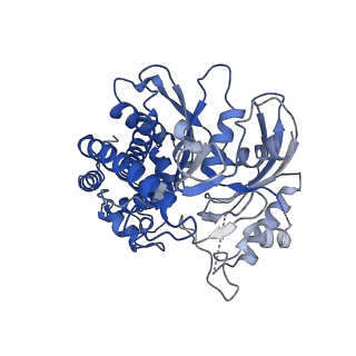21459_6vyg_A_v1-0
Cryo-EM structure of Plasmodium vivax hexokinase (Closed state)