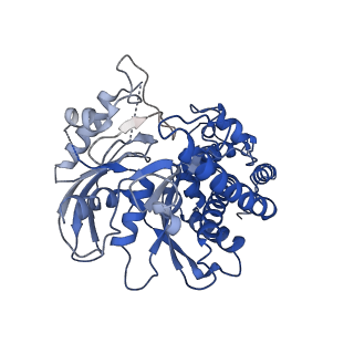 21459_6vyg_B_v1-0
Cryo-EM structure of Plasmodium vivax hexokinase (Closed state)