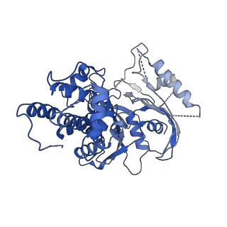 21459_6vyg_C_v1-0
Cryo-EM structure of Plasmodium vivax hexokinase (Closed state)