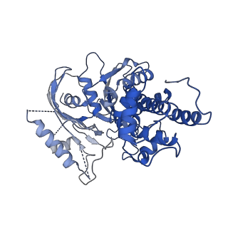 21459_6vyg_D_v1-0
Cryo-EM structure of Plasmodium vivax hexokinase (Closed state)