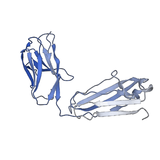21460_6vyh_C_v2-0
Cryo-EM structure of SLC40/ferroportin in complex with Fab