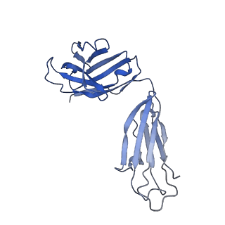 21460_6vyh_D_v1-1
Cryo-EM structure of SLC40/ferroportin in complex with Fab