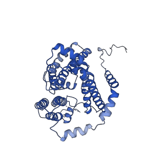 21461_6vyi_B_v1-1
Cryo-EM structure of human diacylglycerol O-acyltransferase 1