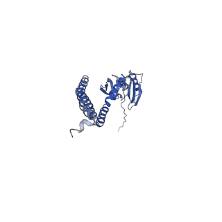 21462_6vyk_B_v1-3
Cryo-EM structure of mechanosensitive channel MscS in PC-18:1 nanodiscs