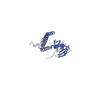 21462_6vyk_C_v1-3
Cryo-EM structure of mechanosensitive channel MscS in PC-18:1 nanodiscs