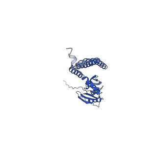 21462_6vyk_D_v1-3
Cryo-EM structure of mechanosensitive channel MscS in PC-18:1 nanodiscs