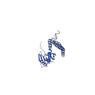 21462_6vyk_E_v1-3
Cryo-EM structure of mechanosensitive channel MscS in PC-18:1 nanodiscs