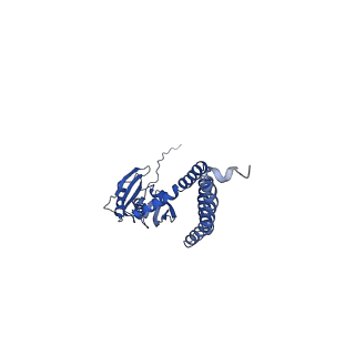 21462_6vyk_F_v1-3
Cryo-EM structure of mechanosensitive channel MscS in PC-18:1 nanodiscs