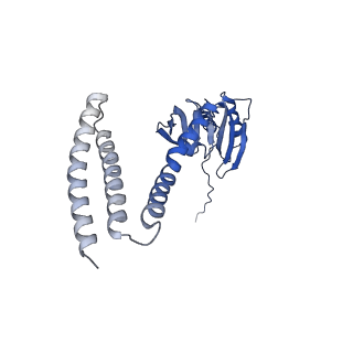 21464_6vym_B_v1-3
Cryo-EM structure of mechanosensitive channel MscS in PC-18:1 nanodiscs treated with beta-cyclodextran