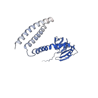 21464_6vym_C_v1-2
Cryo-EM structure of mechanosensitive channel MscS in PC-18:1 nanodiscs treated with beta-cyclodextran