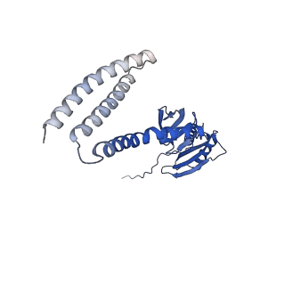 21464_6vym_C_v1-3
Cryo-EM structure of mechanosensitive channel MscS in PC-18:1 nanodiscs treated with beta-cyclodextran