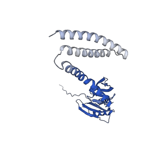 21464_6vym_D_v1-3
Cryo-EM structure of mechanosensitive channel MscS in PC-18:1 nanodiscs treated with beta-cyclodextran