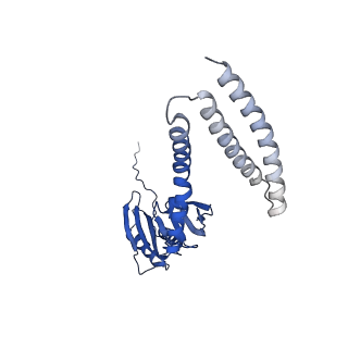 21464_6vym_E_v1-2
Cryo-EM structure of mechanosensitive channel MscS in PC-18:1 nanodiscs treated with beta-cyclodextran