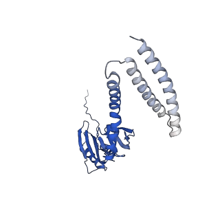 21464_6vym_E_v1-3
Cryo-EM structure of mechanosensitive channel MscS in PC-18:1 nanodiscs treated with beta-cyclodextran