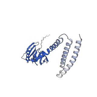 21464_6vym_F_v1-3
Cryo-EM structure of mechanosensitive channel MscS in PC-18:1 nanodiscs treated with beta-cyclodextran