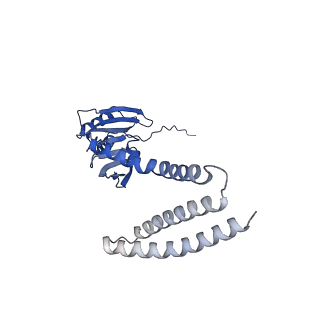 21464_6vym_G_v1-3
Cryo-EM structure of mechanosensitive channel MscS in PC-18:1 nanodiscs treated with beta-cyclodextran