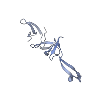 21468_6vyq_3_v1-2
Escherichia coli transcription-translation complex A1 (TTC-A1) containing an 15 nt long mRNA spacer, NusG, and fMet-tRNAs at E-site and P-site