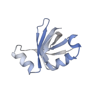 21468_6vyq_4_v1-2
Escherichia coli transcription-translation complex A1 (TTC-A1) containing an 15 nt long mRNA spacer, NusG, and fMet-tRNAs at E-site and P-site