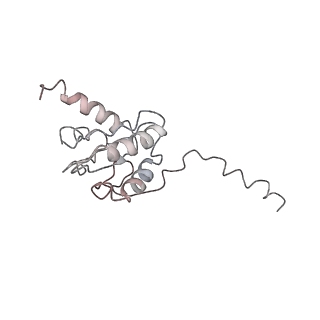 21468_6vyq_9_v1-2
Escherichia coli transcription-translation complex A1 (TTC-A1) containing an 15 nt long mRNA spacer, NusG, and fMet-tRNAs at E-site and P-site