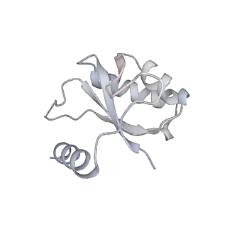 21468_6vyq_AB_v1-2
Escherichia coli transcription-translation complex A1 (TTC-A1) containing an 15 nt long mRNA spacer, NusG, and fMet-tRNAs at E-site and P-site