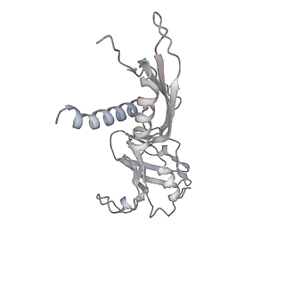 21468_6vyq_AC_v1-2
Escherichia coli transcription-translation complex A1 (TTC-A1) containing an 15 nt long mRNA spacer, NusG, and fMet-tRNAs at E-site and P-site
