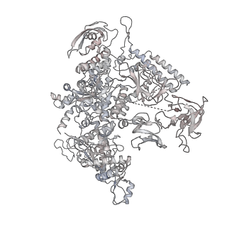 21468_6vyq_AE_v1-2
Escherichia coli transcription-translation complex A1 (TTC-A1) containing an 15 nt long mRNA spacer, NusG, and fMet-tRNAs at E-site and P-site
