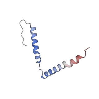 21468_6vyq_F_v1-2
Escherichia coli transcription-translation complex A1 (TTC-A1) containing an 15 nt long mRNA spacer, NusG, and fMet-tRNAs at E-site and P-site