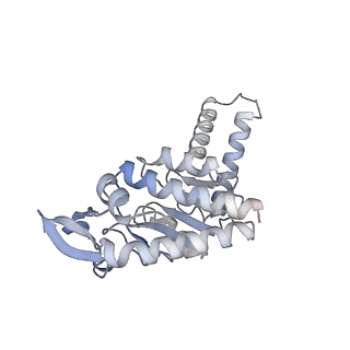 21468_6vyq_G_v1-2
Escherichia coli transcription-translation complex A1 (TTC-A1) containing an 15 nt long mRNA spacer, NusG, and fMet-tRNAs at E-site and P-site