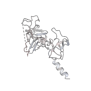 21468_6vyq_H_v1-2
Escherichia coli transcription-translation complex A1 (TTC-A1) containing an 15 nt long mRNA spacer, NusG, and fMet-tRNAs at E-site and P-site