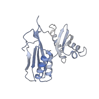 21468_6vyq_I_v1-2
Escherichia coli transcription-translation complex A1 (TTC-A1) containing an 15 nt long mRNA spacer, NusG, and fMet-tRNAs at E-site and P-site