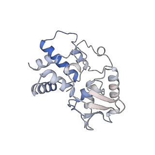 21468_6vyq_J_v1-2
Escherichia coli transcription-translation complex A1 (TTC-A1) containing an 15 nt long mRNA spacer, NusG, and fMet-tRNAs at E-site and P-site