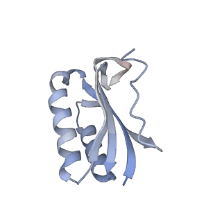 21468_6vyq_L_v1-2
Escherichia coli transcription-translation complex A1 (TTC-A1) containing an 15 nt long mRNA spacer, NusG, and fMet-tRNAs at E-site and P-site