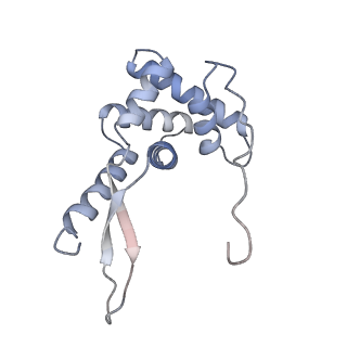 21468_6vyq_M_v1-2
Escherichia coli transcription-translation complex A1 (TTC-A1) containing an 15 nt long mRNA spacer, NusG, and fMet-tRNAs at E-site and P-site