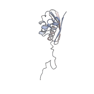 21468_6vyq_O_v1-2
Escherichia coli transcription-translation complex A1 (TTC-A1) containing an 15 nt long mRNA spacer, NusG, and fMet-tRNAs at E-site and P-site