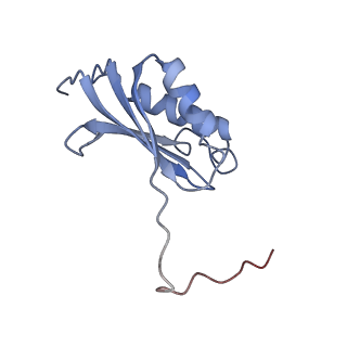 21468_6vyq_Q_v1-2
Escherichia coli transcription-translation complex A1 (TTC-A1) containing an 15 nt long mRNA spacer, NusG, and fMet-tRNAs at E-site and P-site