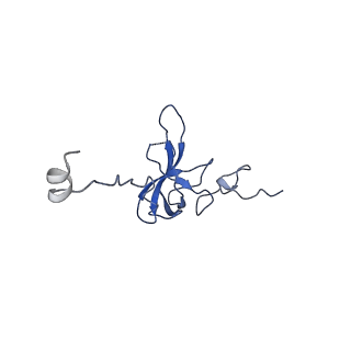 21468_6vyq_R_v1-2
Escherichia coli transcription-translation complex A1 (TTC-A1) containing an 15 nt long mRNA spacer, NusG, and fMet-tRNAs at E-site and P-site