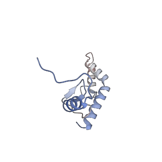 21468_6vyq_S_v1-2
Escherichia coli transcription-translation complex A1 (TTC-A1) containing an 15 nt long mRNA spacer, NusG, and fMet-tRNAs at E-site and P-site