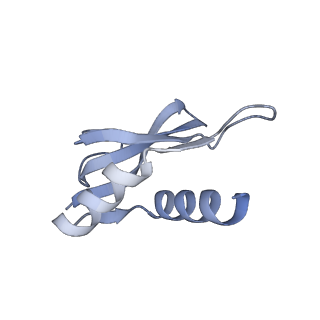 21468_6vyq_U_v1-2
Escherichia coli transcription-translation complex A1 (TTC-A1) containing an 15 nt long mRNA spacer, NusG, and fMet-tRNAs at E-site and P-site