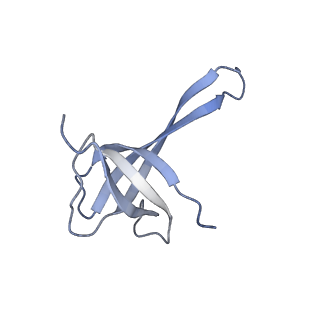 21468_6vyq_V_v1-2
Escherichia coli transcription-translation complex A1 (TTC-A1) containing an 15 nt long mRNA spacer, NusG, and fMet-tRNAs at E-site and P-site