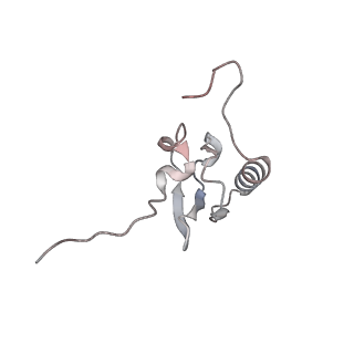21468_6vyq_W_v1-2
Escherichia coli transcription-translation complex A1 (TTC-A1) containing an 15 nt long mRNA spacer, NusG, and fMet-tRNAs at E-site and P-site