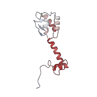 21468_6vyq_X_v1-2
Escherichia coli transcription-translation complex A1 (TTC-A1) containing an 15 nt long mRNA spacer, NusG, and fMet-tRNAs at E-site and P-site