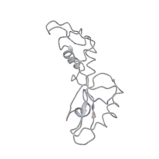 21468_6vyq_Y_v1-2
Escherichia coli transcription-translation complex A1 (TTC-A1) containing an 15 nt long mRNA spacer, NusG, and fMet-tRNAs at E-site and P-site