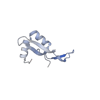 21468_6vyq_c_v1-2
Escherichia coli transcription-translation complex A1 (TTC-A1) containing an 15 nt long mRNA spacer, NusG, and fMet-tRNAs at E-site and P-site